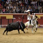 Vila Franca de Xira (Portugal). 9 de octubre de 2018.