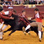 Lisboa, 11 de octubre de 2018