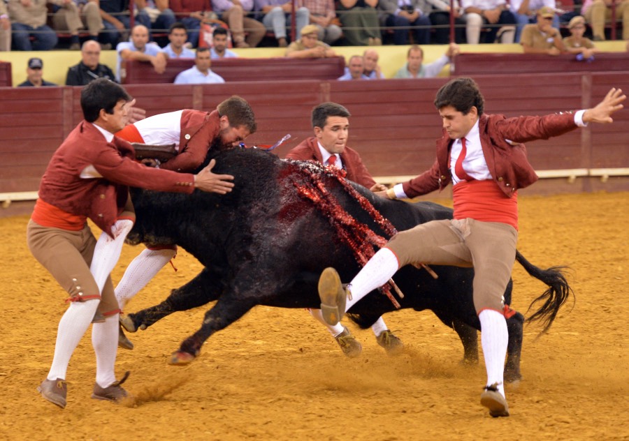Lisboa, 11 de octubre de 2018