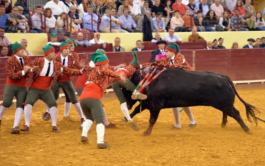 Lisboa, 11 de octubre de 2018