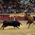 Vila Franca de Xira (Portugal). 9 de octubre de 2018.