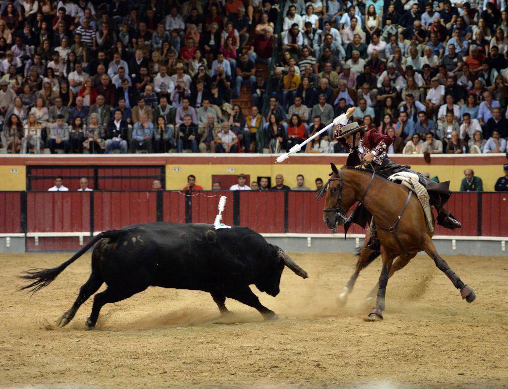 Vila Franca de Xira (Portugal). 9 de octubre de 2018.