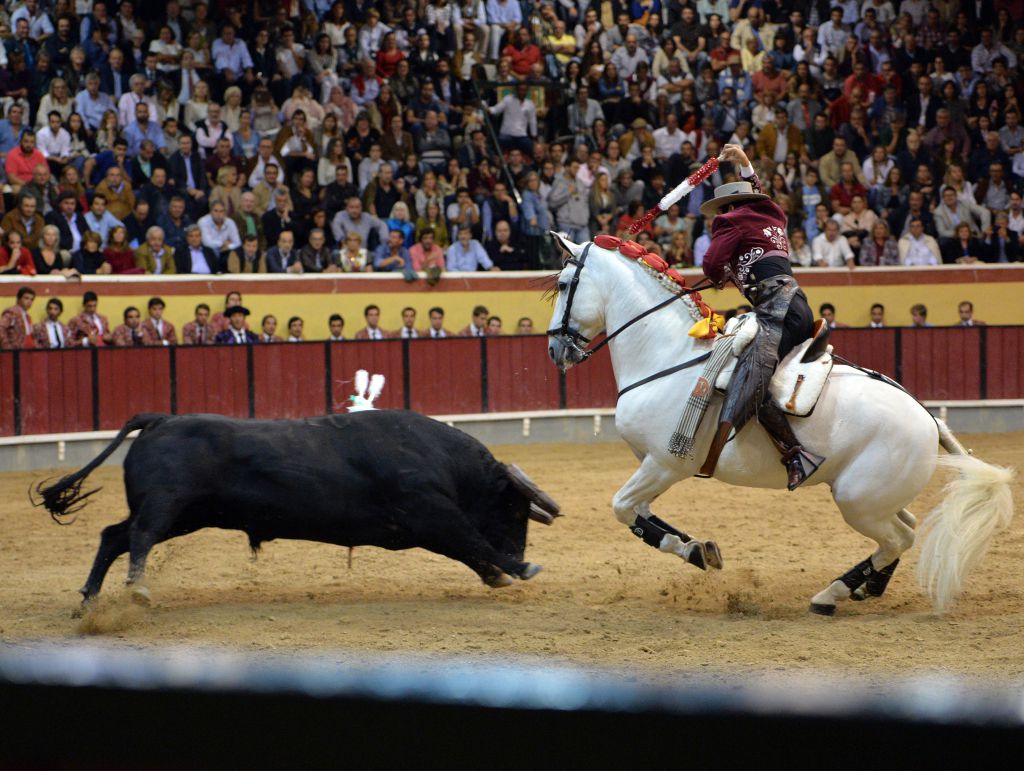 Vila Franca de Xira (Portugal). 9 de octubre de 2018.