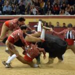 Vila Franca de Xira (Portugal). 9 de octubre de 2018.