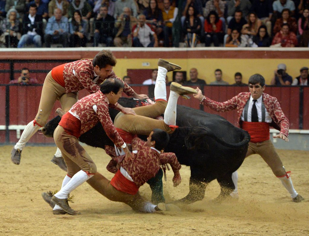 Vila Franca de Xira (Portugal). 9 de octubre de 2018.