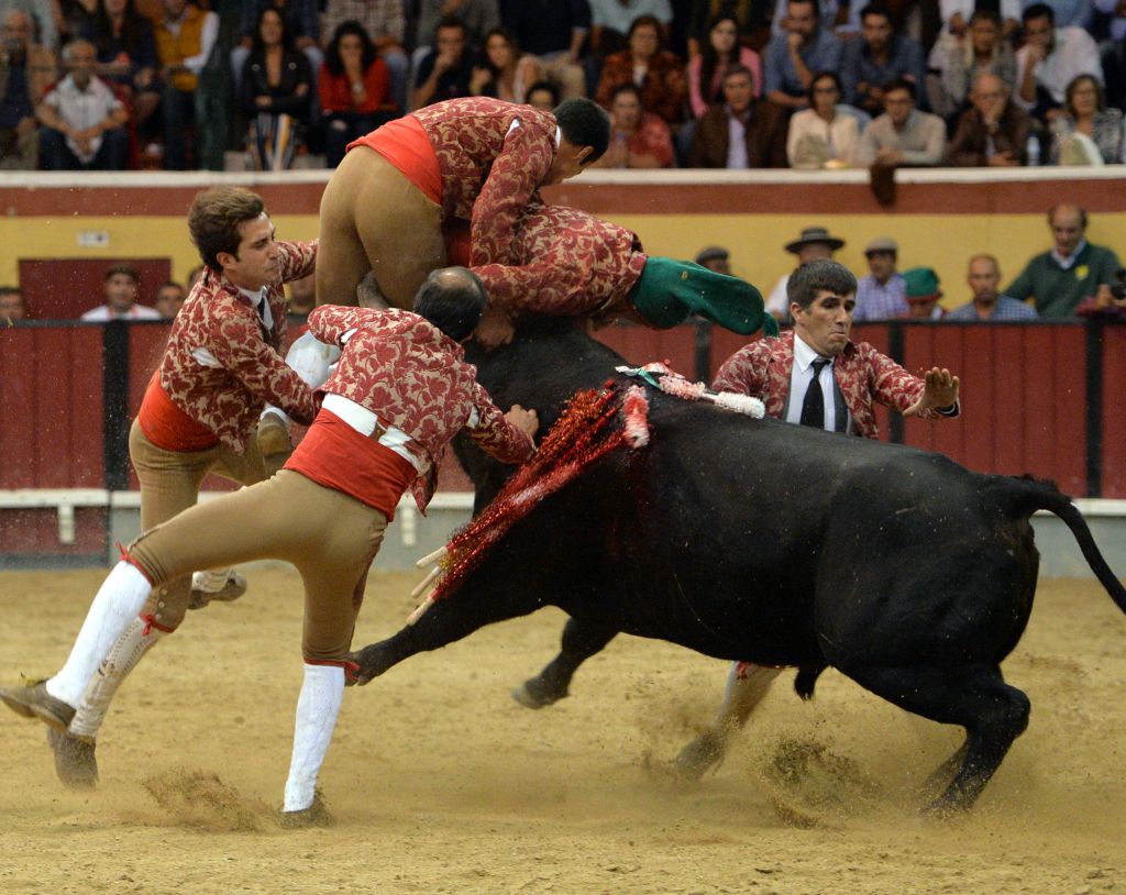 Vila Franca de Xira (Portugal). 9 de octubre de 2018.