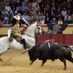 Vila Franca de Xira (Portugal). 9 de octubre de 2018.