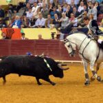 Lisboa, 11 de octubre de 2018