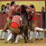 Vila Franca de Xira (Portugal). 9 de octubre de 2018.