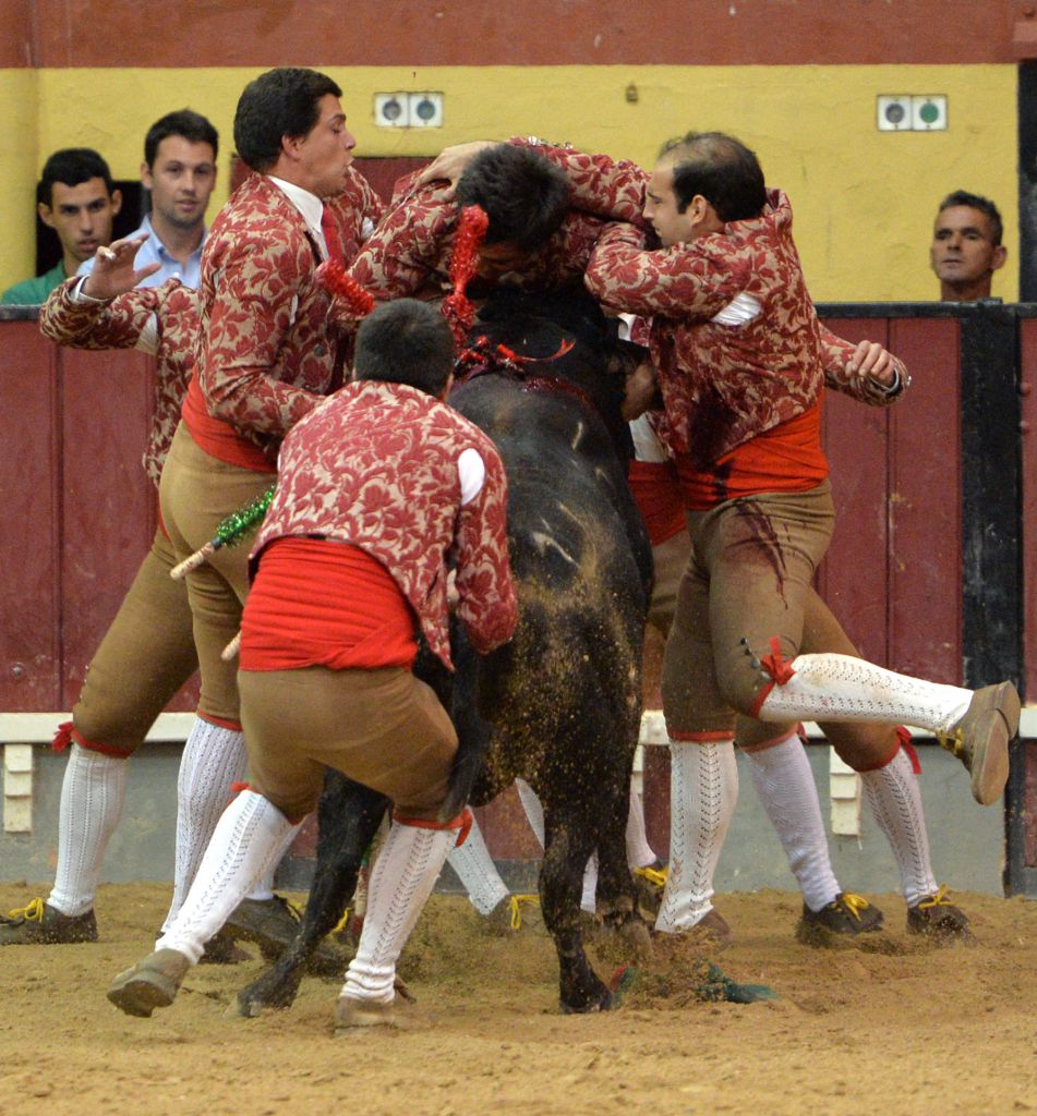 Vila Franca de Xira (Portugal). 9 de octubre de 2018.