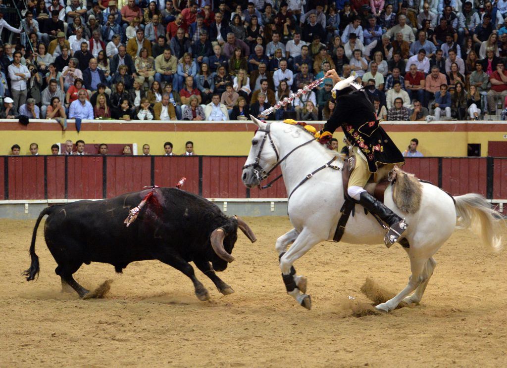 Vila Franca de Xira (Portugal). 9 de octubre de 2018.