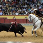 Vila Franca de Xira (Portugal). 9 de octubre de 2018.