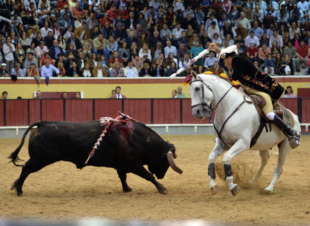 Vila Franca de Xira (Portugal). 9 de octubre de 2018.