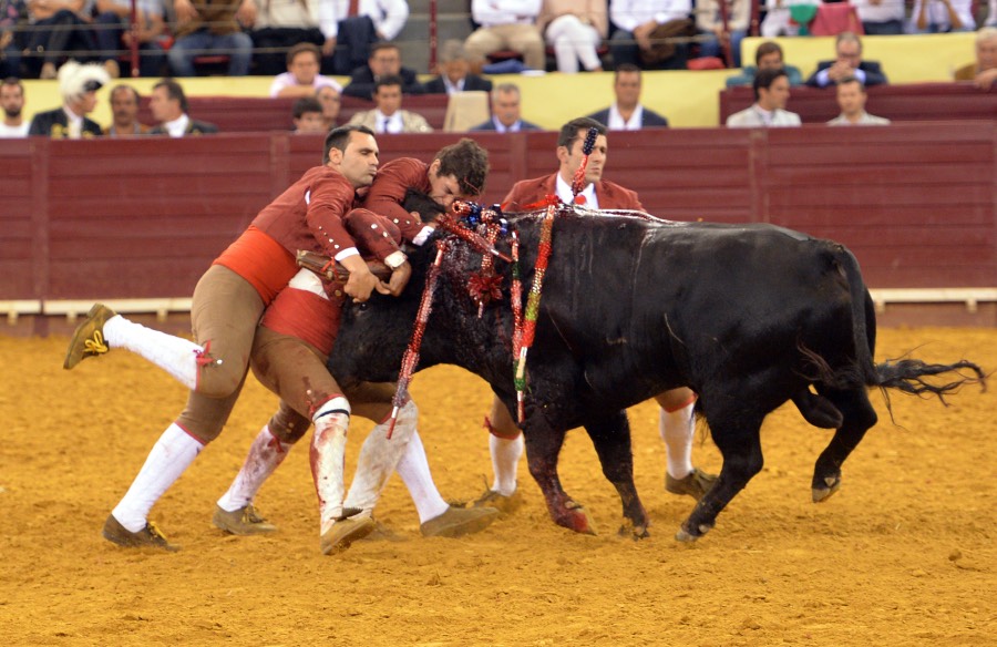 Lisboa, 11 de octubre de 2018