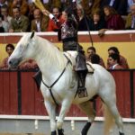 Vila Franca de Xira (Portugal). 9 de octubre de 2018.