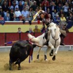 Vila Franca de Xira (Portugal). 9 de octubre de 2018.