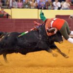 Lisboa, 11 de octubre de 2018