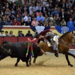 Vila Franca de Xira (Portugal). 9 de octubre de 2018.