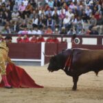 Madrid - Feria de Otoño - Domingo 7 de octubre de 2018