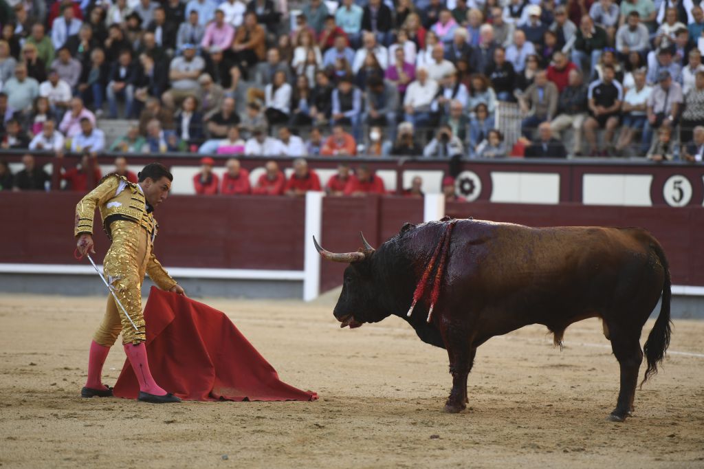 Madrid - Feria de Otoño - Domingo 7 de octubre de 2018