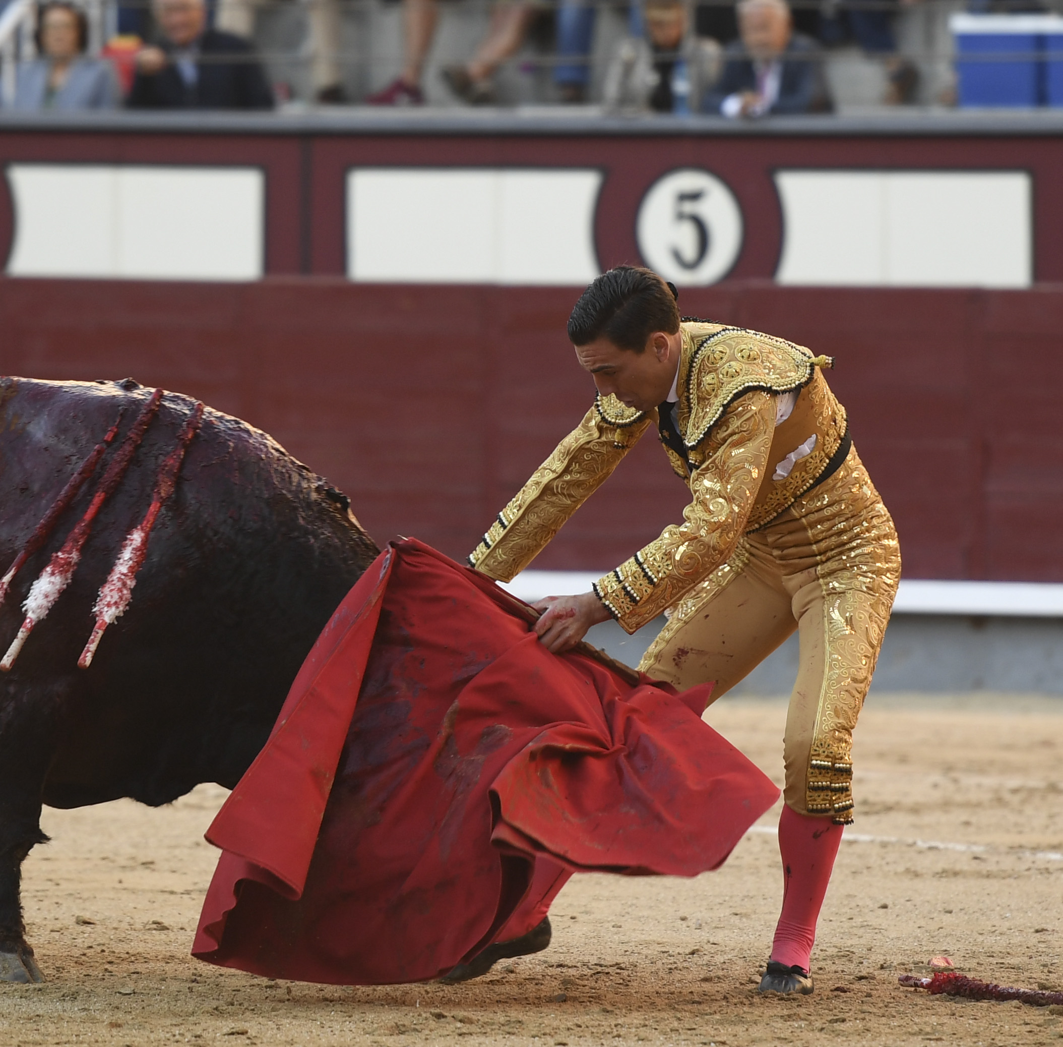 Madrid - Feria de Otoño - Domingo 7 de octubre de 2018
