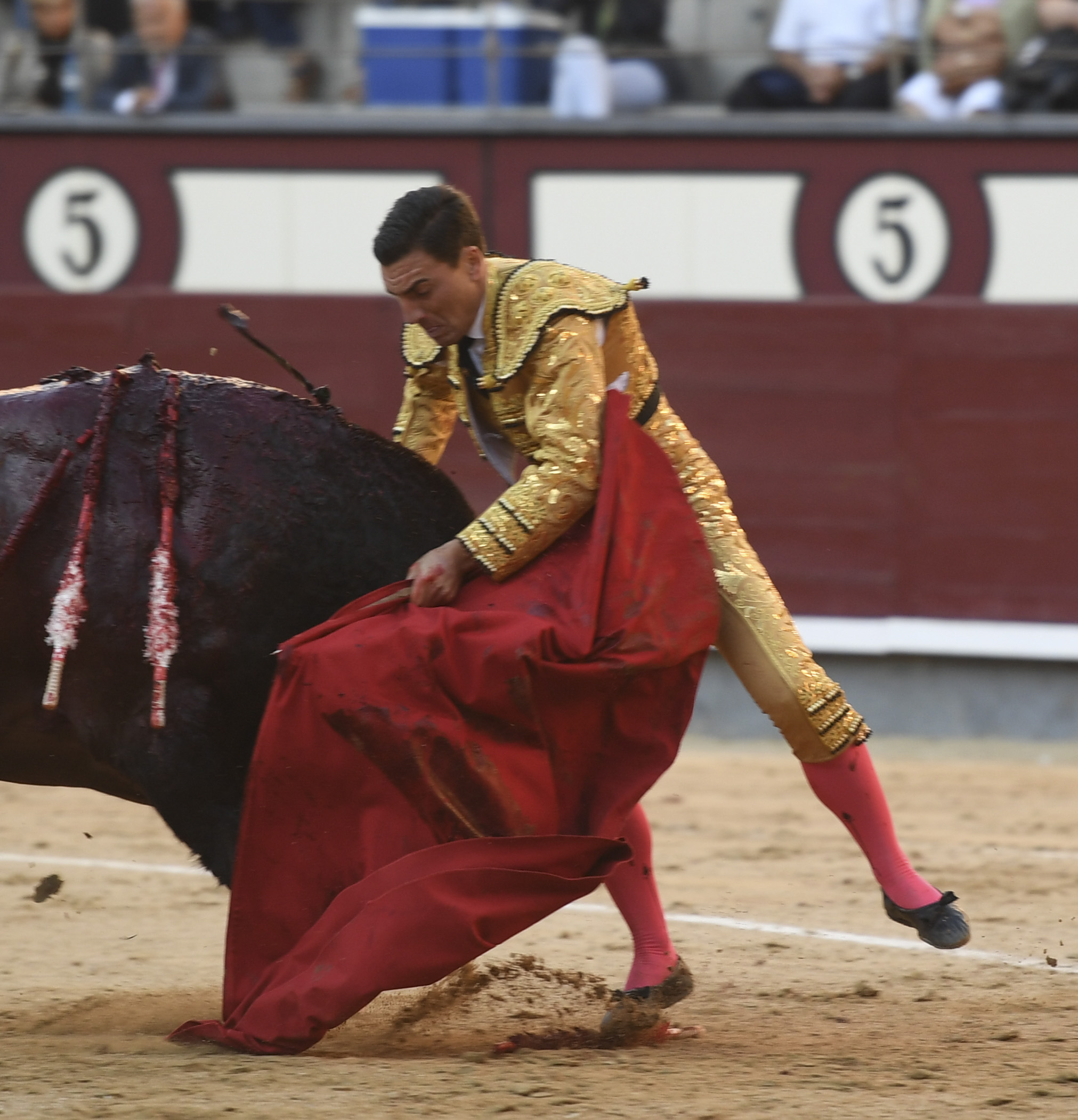 Madrid - Feria de Otoño - Domingo 7 de octubre de 2018