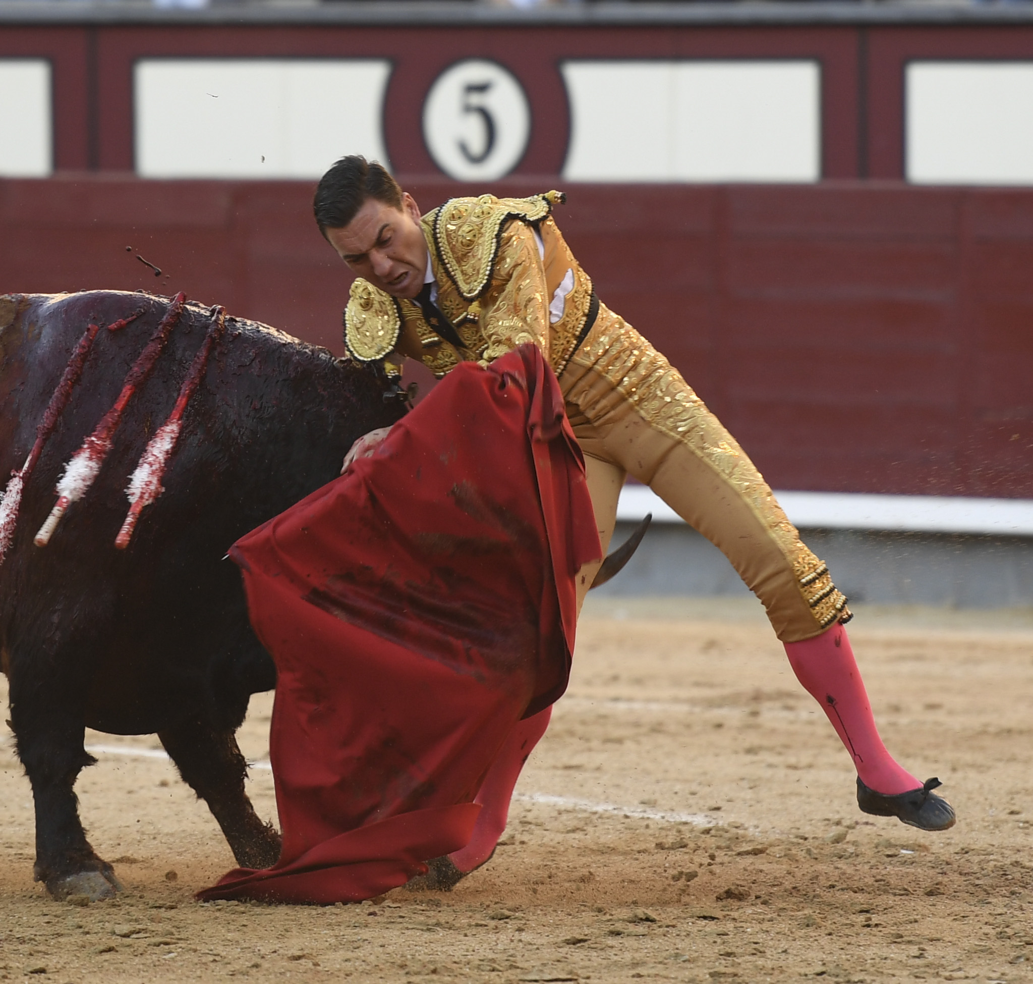 Madrid - Feria de Otoño - Domingo 7 de octubre de 2018