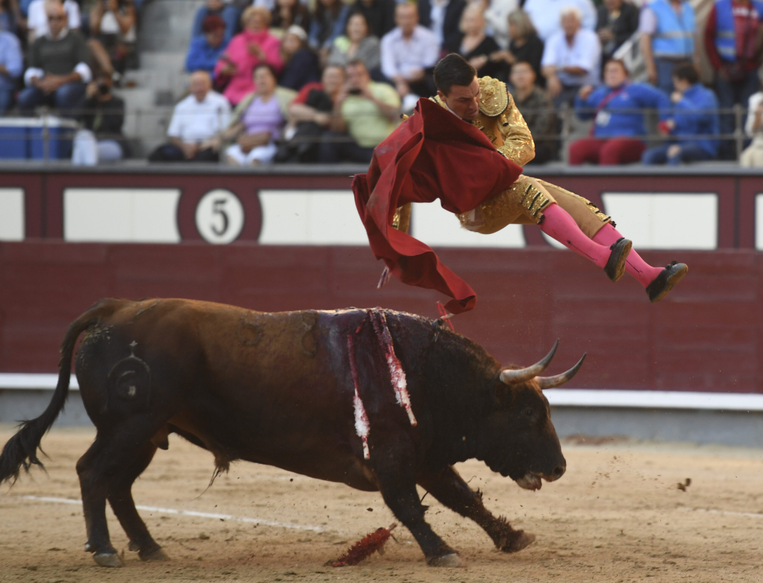 Madrid - Feria de Otoño - Domingo 7 de octubre de 2018