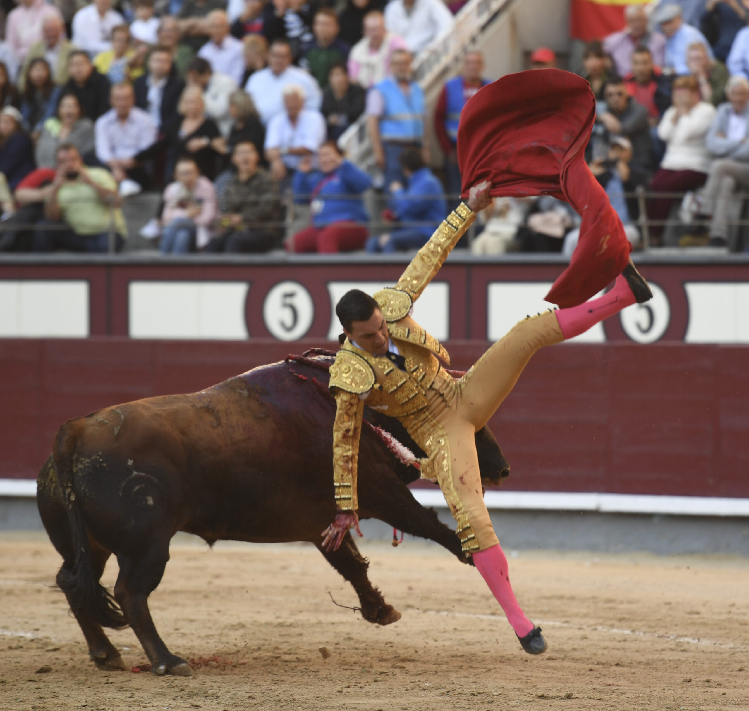 Madrid - Feria de Otoño - Domingo 7 de octubre de 2018