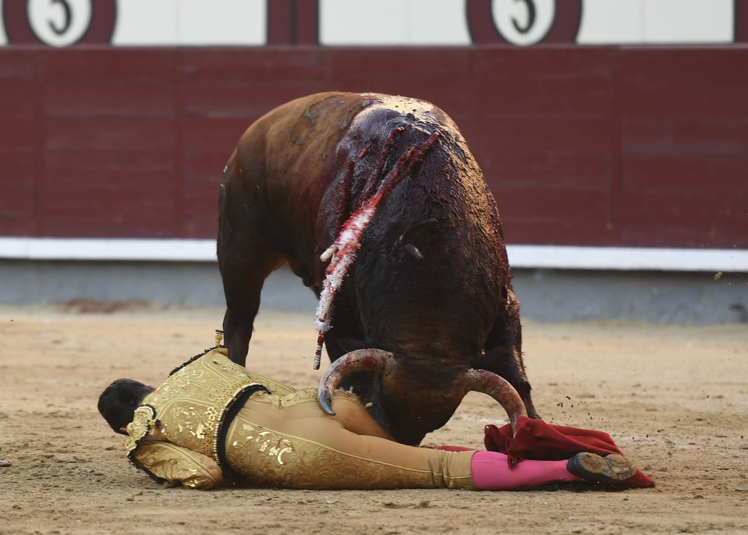 Madrid - Feria de Otoño - Domingo 7 de octubre de 2018