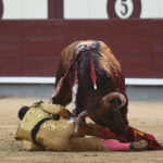 Madrid - Feria de Otoño - Domingo 7 de octubre de 2018