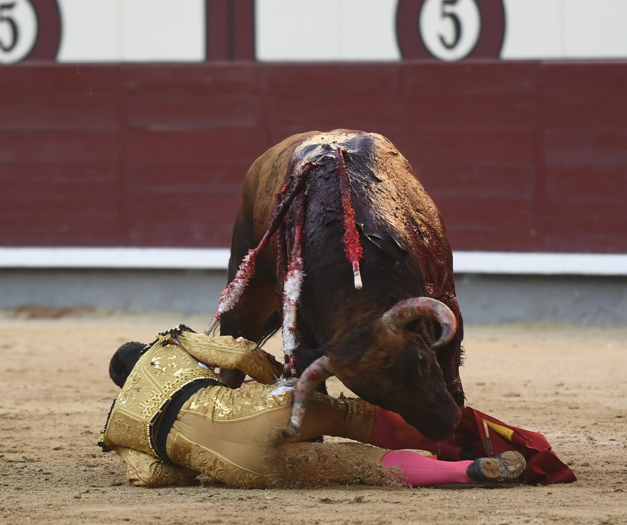 Madrid - Feria de Otoño - Domingo 7 de octubre de 2018