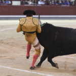 Madrid - Feria de Otoño - Domingo 7 de octubre de 2018