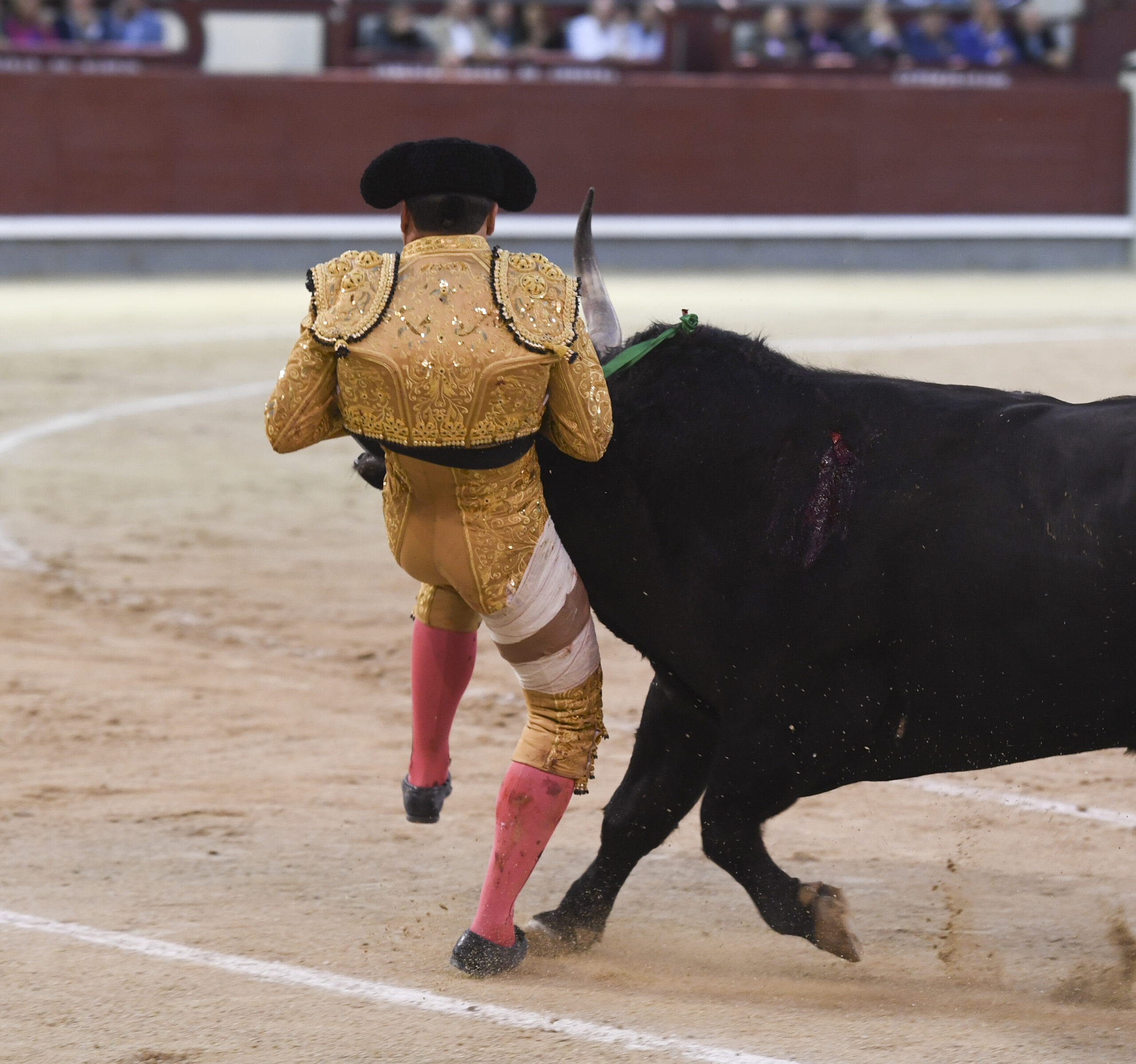 Madrid - Feria de Otoño - Domingo 7 de octubre de 2018