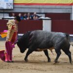 Madrid, 12 de octubre de 2018