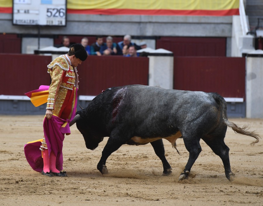 Madrid, 12 de octubre de 2018