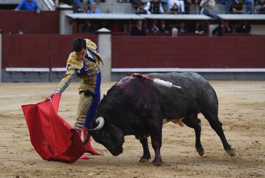 Madrid, 12 de octubre de 2018