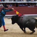 Madrid, 12 de octubre de 2018