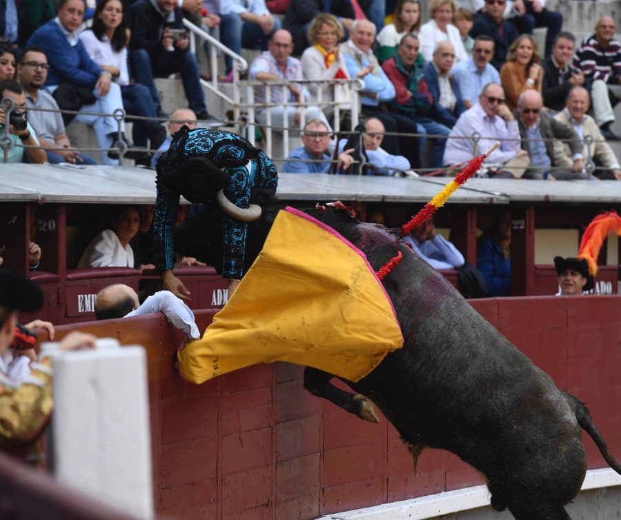 Madrid, 12 de octubre de 2018