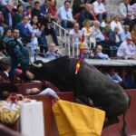 Madrid, 12 de octubre de 2018