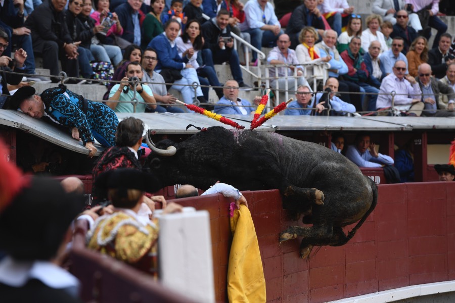 Madrid, 12 de octubre de 2018