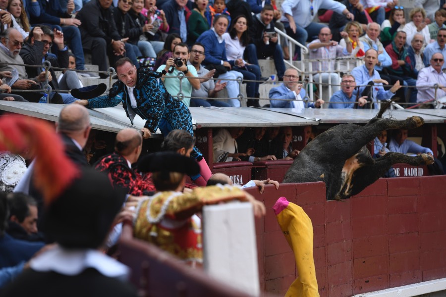 Madrid, 12 de octubre de 2018