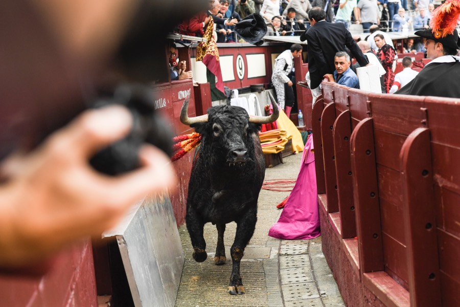 Madrid, 12 de octubre de 2018