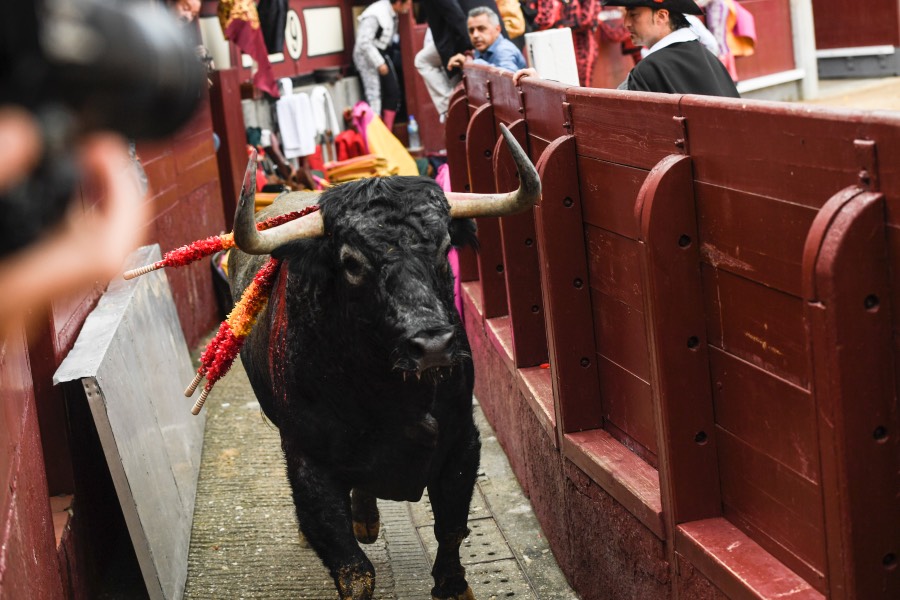 Madrid, 12 de octubre de 2018