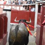 Madrid, 12 de octubre de 2018