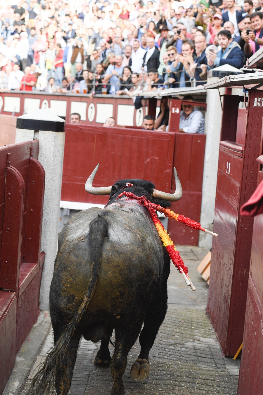 Madrid, 12 de octubre de 2018