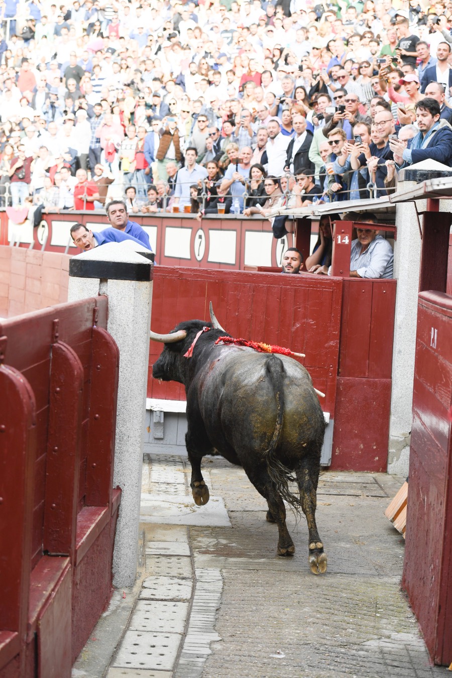 Madrid, 12 de octubre de 2018