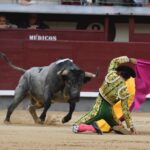 Madrid, 12 de octubre de 2018