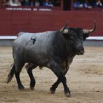 Madrid, 12 de octubre de 2018