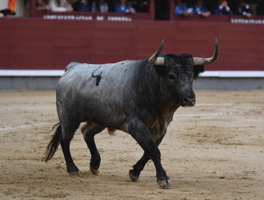 Madrid, 12 de octubre de 2018